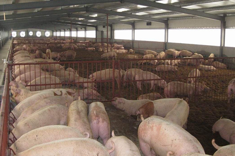 養(yǎng)殖場適合用紫外線消毒燈嗎？